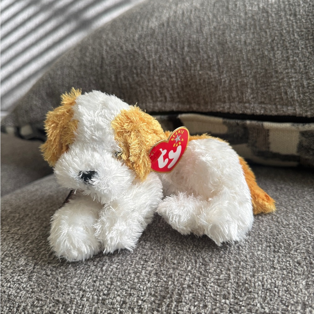 Darling Ty Plush Dog in White and Tan